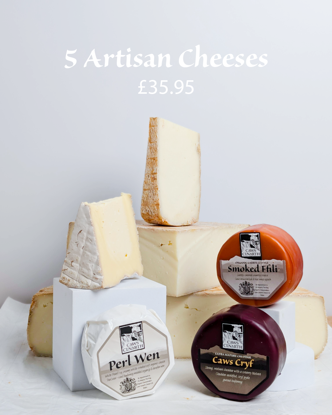 5 assorted artisan cheeses on a white surface with a light gray background £25.95