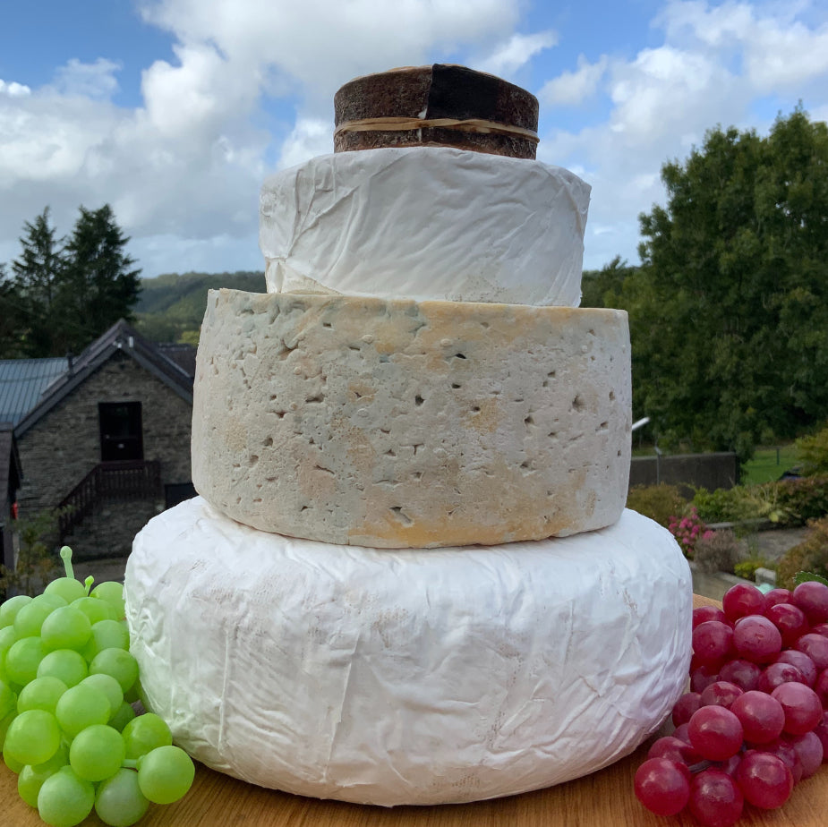 Cheese Wedding Cake Selection