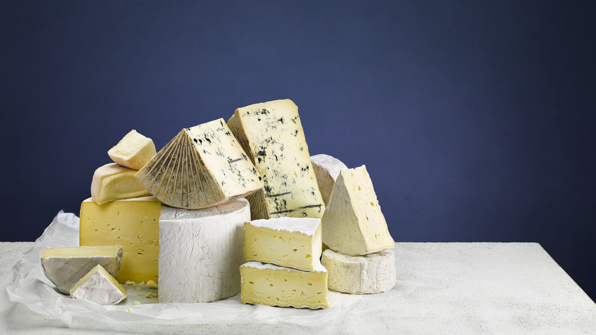 A group of Caws Cenarth Welsh cheeses on a pale stone surface against a deep navy background — blue, soft bloomy-rind and hard cheeses, whole wheels and cut wedges